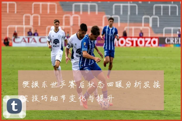 樊振东世乒赛后状态回暖分析发接发技巧细节变化与提升