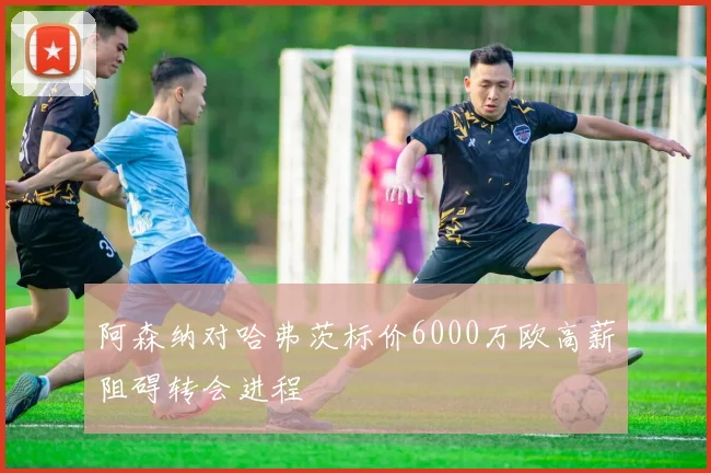 阿森纳对哈弗茨标价6000万欧高薪阻碍转会进程