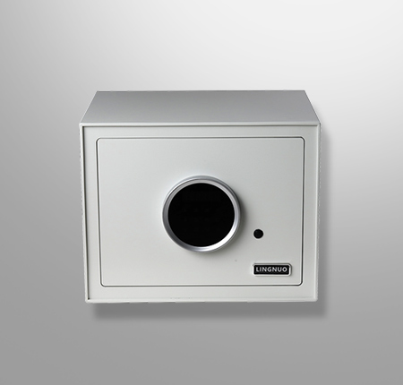 Home & Office Safe